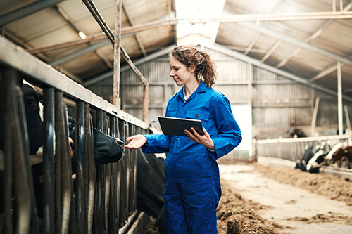 The Dairy Group