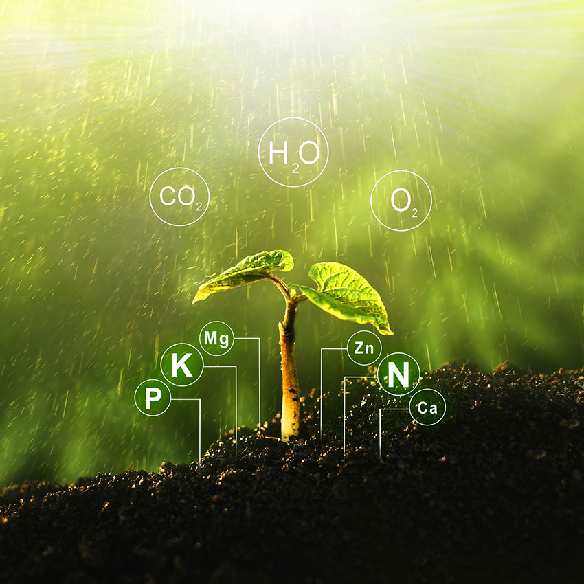 Nutrient Management Planning and the Environment